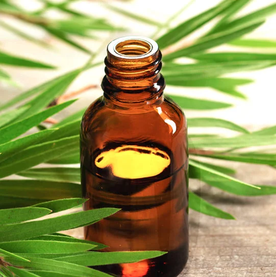 Get the Full Benefits of Tea Tree Oil